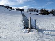 Ski Carpet No. 2 - Förderband/Zauberteppich