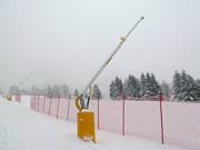 Schneilanzen in San Vito di Cadore