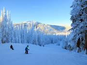 Mittelschwere Abfahrt Grand Return am Mt. Morrisey