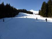 Kreuzboden-Übungshang