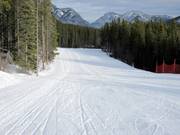 Leichte Piste im Talbereich