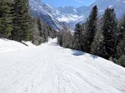 Verbindungspiste Kanzel-Seilbahn