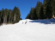Mittelschwere Piste an der Sesselbahn