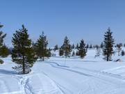 Loipen in Idre Himmelfjäll