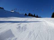 Mittelschwere Piste Topolino