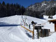 Gaisbühllift - Tellerlift
