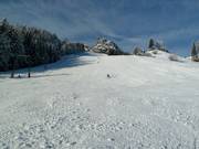 Schwarze Piste Postalm Standard