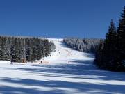 Piste Turistická Medvědín