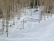 Scooper - Tellerlift