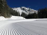 Präparierte Piste in Ramsau am Dachstein