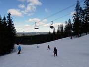 Leichte Abfahrt Târnbakken