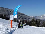 Rodelbahn am Schatzberg