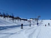 Toppheisen - Tellerlift