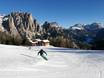 Rosengarten: Testberichte von Skigebieten – Testbericht Catinaccio/Ciampedie – Vigo di Fassa/Pera di Fassa