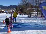 Seillift am Streidlhang