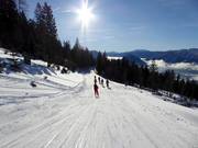 Leichter Skiweg Loser