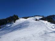 Familienabfahrt Brandlalm