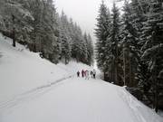 Start der Hababfahrt