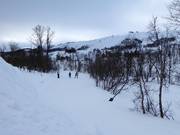 Loipe in Tänndalen