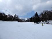 Leichte Abfahrt Prince