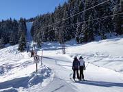 Karlift - Schlepplift mit T-Bügel/Anker
