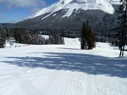 Anfängerpisten am Green Chair