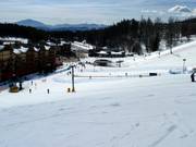 Owl Learning Area im Talbereich