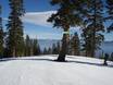 Sierra Nevada (US): Orientierung in Skigebieten – Orientierung Homewood Mountain Resort