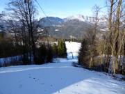 Eckerbichllift - Schlepplift mit T-Bügel/Anker