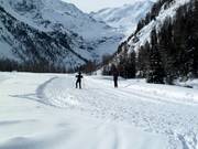 Höhenloipe in Sulden