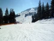 Leichte Familienstrecke an der Sonnenhang-Sesselbahn