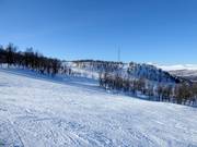 Blick vom Osthang über das Skigebiet Ramundberget