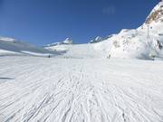 Leichte Piste Nr. 38 Tiefenbachferner