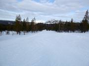 Leichte Piste im Talbereich Ylläs-Ski