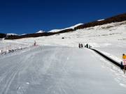 Zauberteppich in Sent