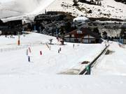 Tipp für die Kleinen  - Kinderland Grau Roig