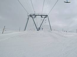 Juonli Meder-Stellerna I