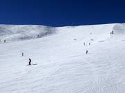 Breite Piste Cinque Dita