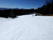 Waldabfahrt vom Piffing