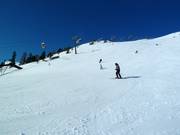 Schwarze Tschaneckpiste