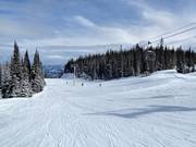 Leichte Piste Aunt Gladys