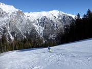 Weltmeister-Piste Patrick Staudacher