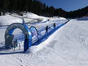 Leprotto - Förderband/Zauberteppich