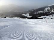 Bestens präparierte Piste in Flims