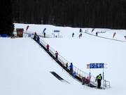 Sunny Side 1 - Förderband/Zauberteppich