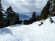 Shore Glades mit Blick zum Pazifik