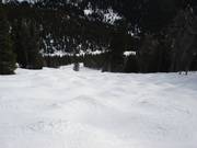 Buckelpiste auf der Rückseite des Skigebiets Lake Louise