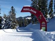 Tipp für die Kleinen  - Rodelbahn Königslehen (Radstadt)