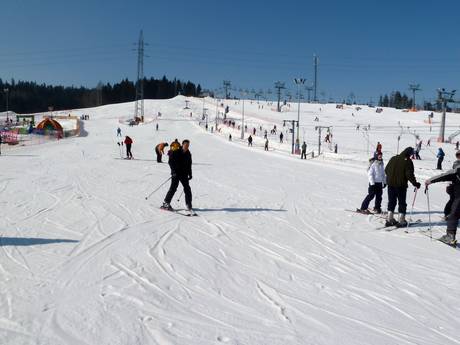 Skigebiete für Anfänger in den Ostbeskiden – Anfänger Białka Tatrzańska – Kotelnica/Kaniówka/Bania