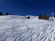 Tiefschneehänge am Rosskopf